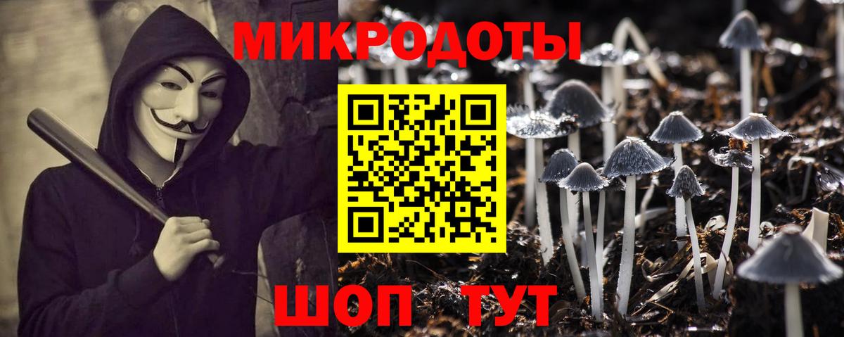 где найти   Вход с VPN  Галлюциногенные грибы Cubensis  Шатура  Галлюциногенные грибы Psilocybe 